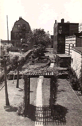 View from second story of 33 Hawkins Street toward the rear of 108 Brill Street.

