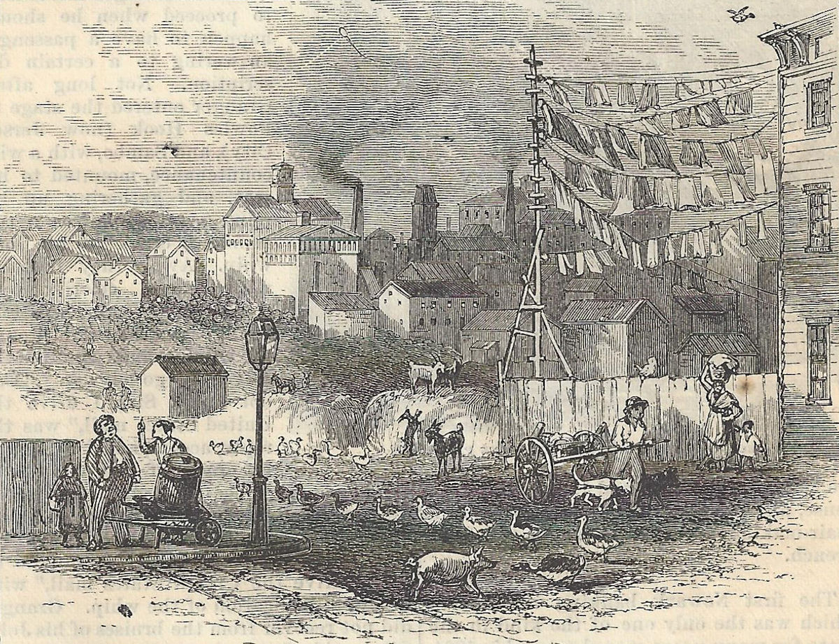 Germantown
Photo from "Harper's New Monthly Magazine" October 1876
