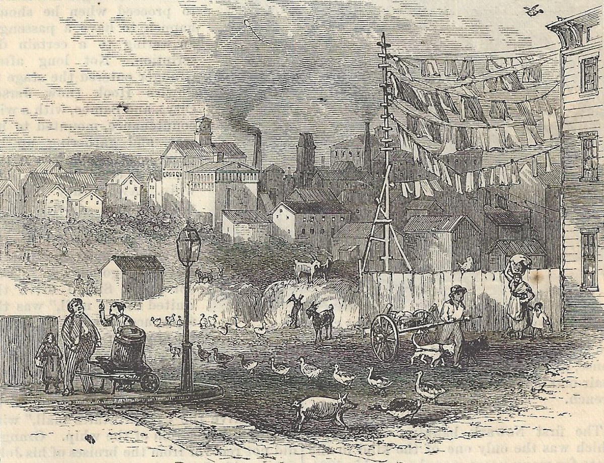 Germantown
Photo from "Harper's New Monthly Magazine" October 1876
