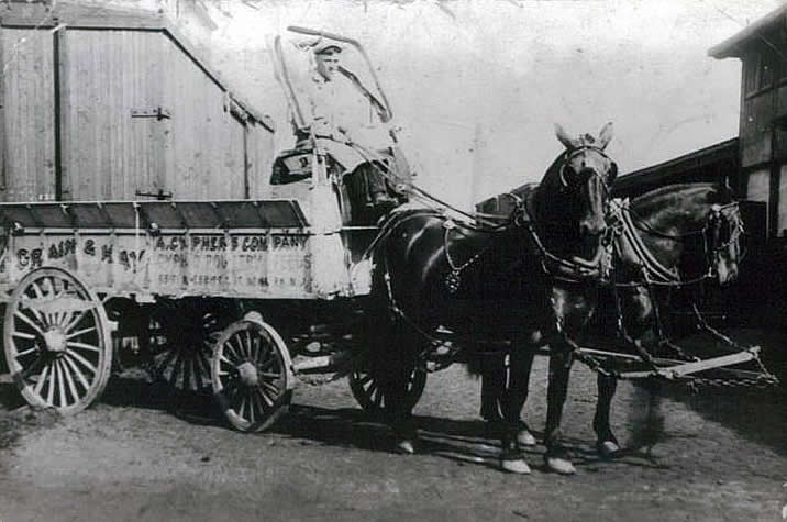Masterson, Anthony
Anthony Masterson as a young 20 year teamster (1922) ready to unload a freight car in the Central Railroad yard on Broad Street in Newark.
The horses names are Dick & Jack, owned by the Cypher Feed Company.
Photo from Richard Masterson
