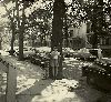 Filename=mannionchildren02.gif
Filesize=157KiB
Dimensions=500x463
Date added=Oct 26, 2010 mannionchildren02.gif
