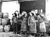 Filename=unknownworkers01.jpg
Filesize=140KiB
Dimensions=800x602
Date added=Aug 31, 2024 unknownworkers01.jpg