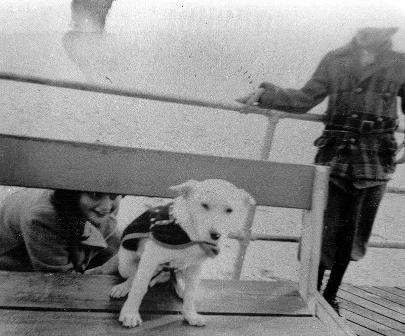 Koch, Pauline
Woman looking through bench at the Jersey Shore ~1942.
Pauline is Ed Koch's sister.
Photo from Paul Kiell
