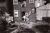 Filename=geisheimer03.gif
Filesize=125KiB
Dimensions=476x310
Date added=Nov 07, 2006 geisheimer03.gif