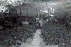 Filename=geisheimer14.gif
Filesize=86KiB
Dimensions=390x261
Date added=Nov 07, 2006 geisheimer14.gif