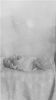 Filename=judyrussell17.jpg
Filesize=11KiB
Dimensions=338x600
Date added=Jun 28, 2006 judyrussell17.jpg