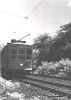 Filename=newarktrolly.jpg
Filesize=31KiB
Dimensions=355x500
Date added=Jun 28, 2006 newarktrolly.jpg